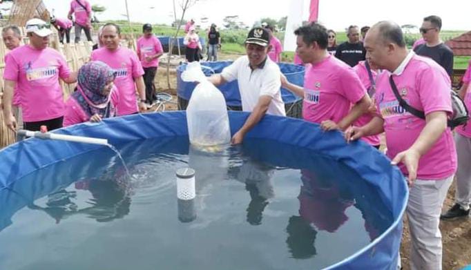 kampung koi