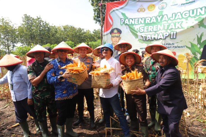 jagung