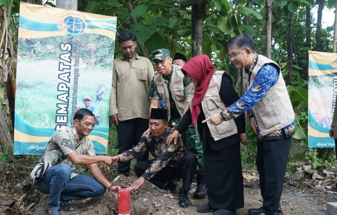 WhatsApp Image 2025-11-10 at 19.45.58