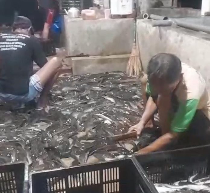 WhatsApp Image 2025-11-27 at 22.04.46