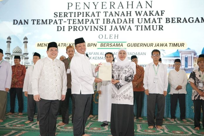 WhatsApp Image 2025-12-15 at 14.15.38