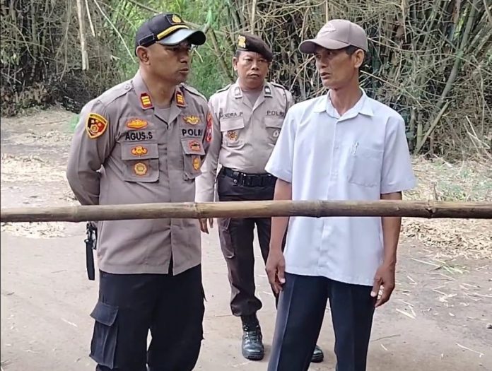 WhatsApp Image 2026-01-21 at 17.45.54