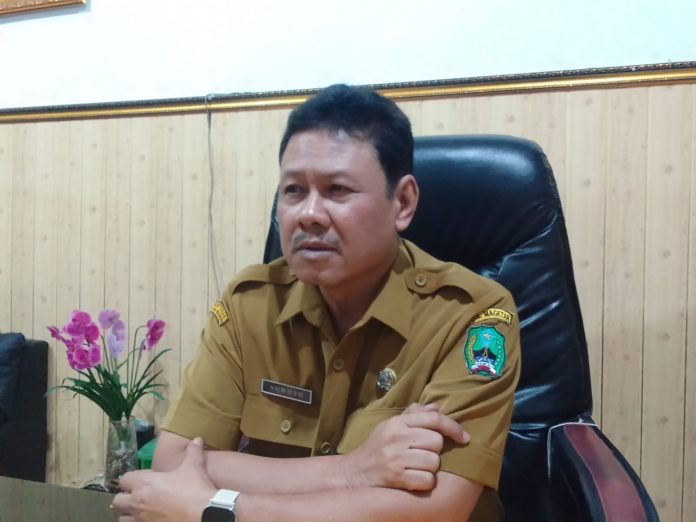 WhatsApp Image 2026-01-26 at 19.30.39