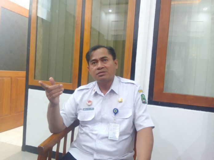 WhatsApp Image 2026-02-11 at 11.51.52