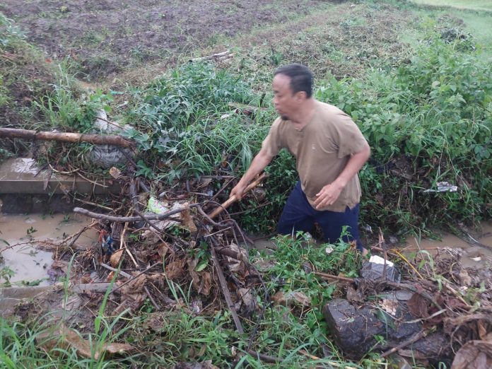 WhatsApp Image 2026-03-04 at 18.15.24