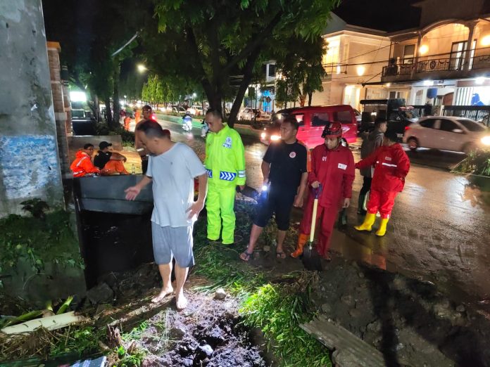 WhatsApp Image 2026-03-20 at 19.56.00