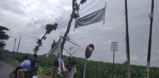 Satpol PP Magetan Prioritaskan Penertiban PKL, Pembersihan Reklame Liar Dilakukan Bertahap