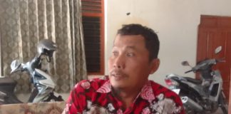 Serangan Hama dan Penyuluhan Tak Maksimal, Petani Padi di Magetan Mengalami Anjlok Hasil Panen Hingga 80 Persen